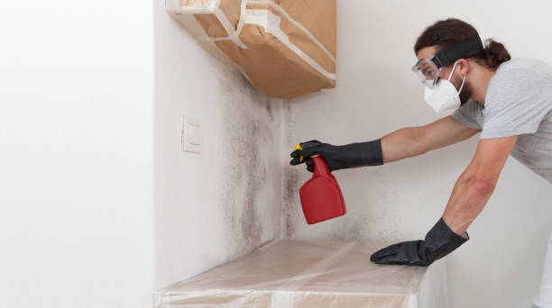 Professional Crawl Space Mold Remediation technician working in Randolph, MN