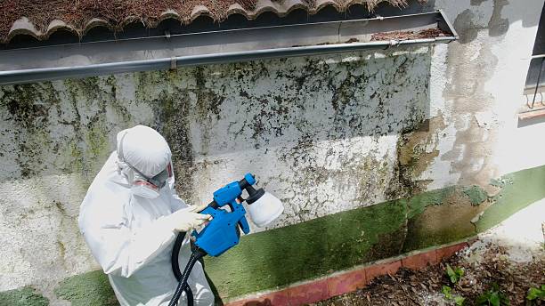 Top rated local Crawl Space Mold Remediation specialists in Randolph, MN